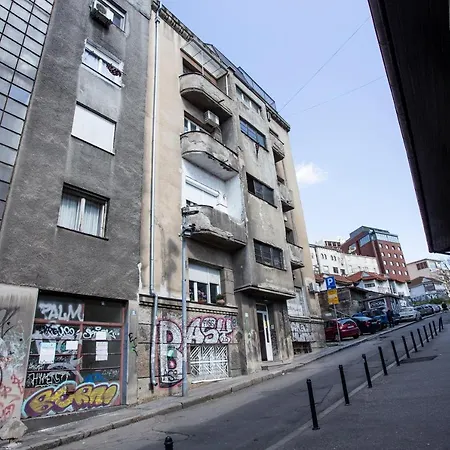 Ivy * Belgrade